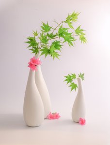  da Alice Sheng