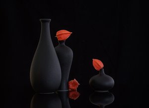  da Alice Sheng