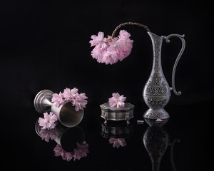  da Alice Sheng