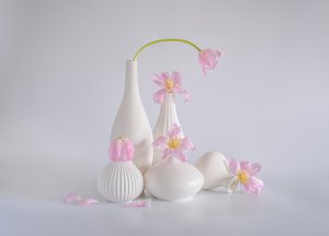  da Alice Sheng