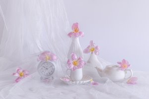  da Alice Sheng