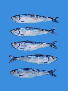 Cinque sardine blu da Alice Straker