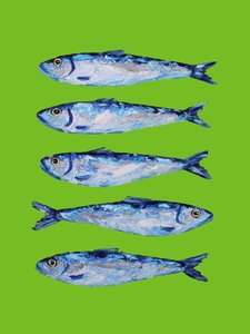 Sardine blu fresche da Alice Straker