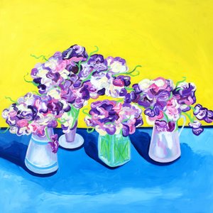 Mazzi di piselli odorosi dai colori vivaci