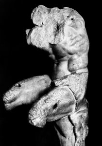 Il Torso del Belvedere di Apollonio di Nestor, c.1890 (foto b/n) da Fratelli Alinari