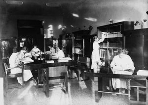 Villa Rosa Maltoni Mussolini: studio in biblioteca