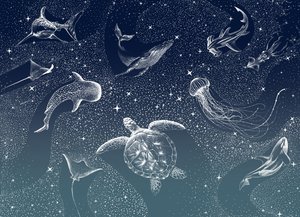 La vita marina celeste da Alirıza ÇAKIR