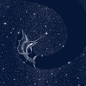 Pesce vela celeste da Alirıza ÇAKIR