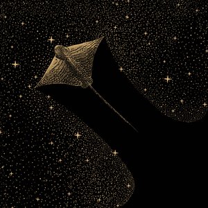 Aquila di mare cosmica da Alirıza ÇAKIR