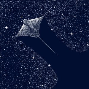 Aquila di mare cosmica da Alirıza ÇAKIR