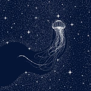 Il sogno della medusa cosmica da Alirıza ÇAKIR