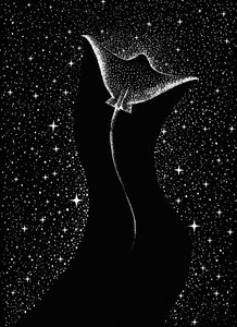 Manta cosmica da Alirıza ÇAKIR