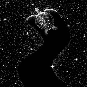 Tartaruga marina cosmica da Alirıza ÇAKIR