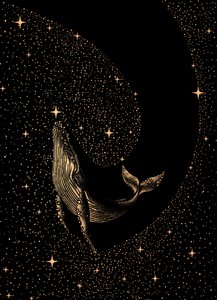 Il sogno della balena cosmica da Alirıza ÇAKIR