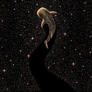 Squalo balena cosmico da Alirıza ÇAKIR