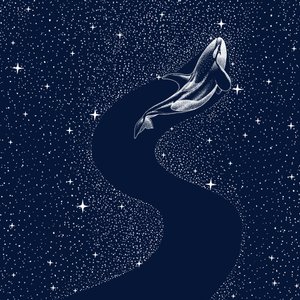 Una balena da sogno tra le stelle da Alirıza ÇAKIR