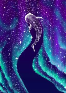 Aurora boreale e squalo balena da Alirıza ÇAKIR