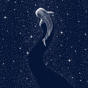 Squalo balena stellato da Alirıza ÇAKIR