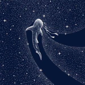 Viaggio nella galassia dello squalo balena da Alirıza ÇAKIR