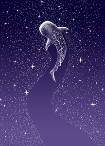 Nuotata nella Galassia degli squali balena da Alirıza ÇAKIR