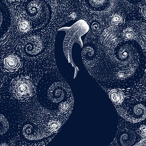 Lo squalo balena nell