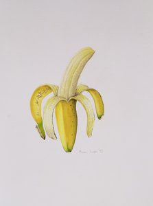 Una Banana Mezzo Sbucciata, 1997