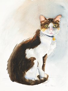 Dave il gatto saudita, 2019 da Alison Cooper