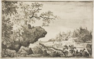Ramo di un albero da Allaert van Everdingen