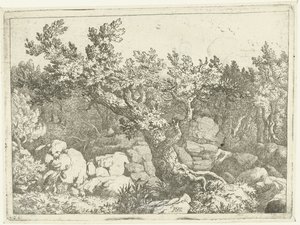Paesaggio con cacciatore vicino a un grande albero da Allaert van Everdingen