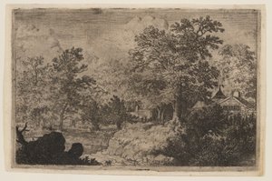 La quercia sulla collina