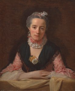 Dama in un vestito di seta rosa