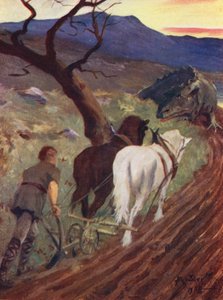 Il figlio dell