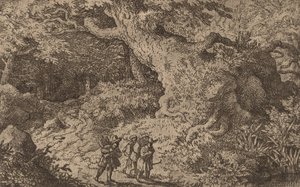 Una fitta foresta da Allart van Everdingen