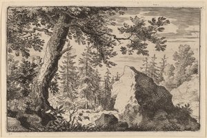 Masso nel bosco