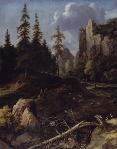 Paesaggio montano norvegese da Allart van Everdingen