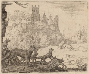 Reynard parte con il tasso