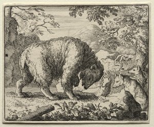 Reynard la Volpe: Reynard promette miele all