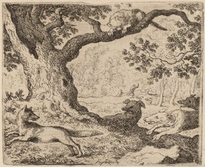 Il padre di Reynard e il gatto inseguito dai cani