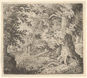 Il ruscello nel bosco, XVII secolo