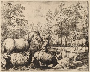Il cavallo e il cervo da Allart van Everdingen