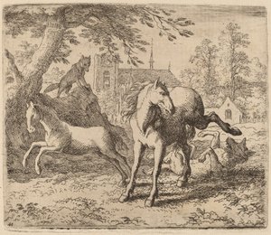 La giumenta e il lupo, probabilmente c. 1645-1656 da Allart van Everdingen