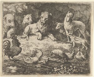 Il gallo accusa Renard dell
