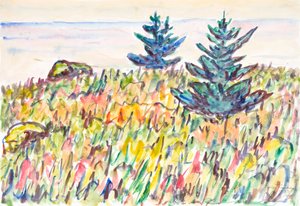 Acquerello n. 35, Campo con due pini