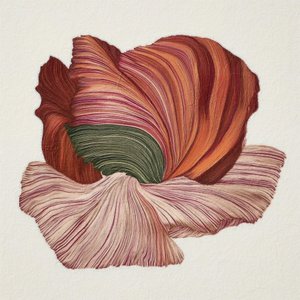 Fioritura biologica dai colori vivaci