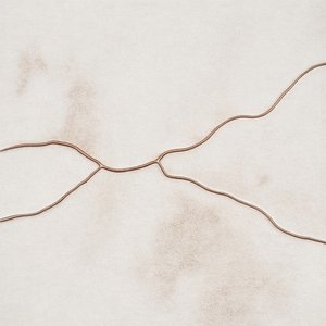 Delicato flusso biologico