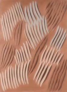 Forme organiche e naturali