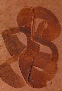 Curve dalla texture terrosa da Alma