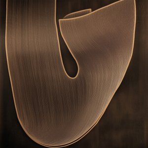 Forma organica fluida da Alma