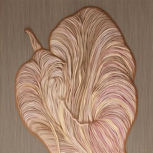 Linee organiche fluide da Alma