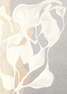 Forme organiche fluide da Alma